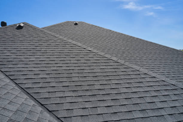 Roof Moss and Algae Removal in Omega, GA